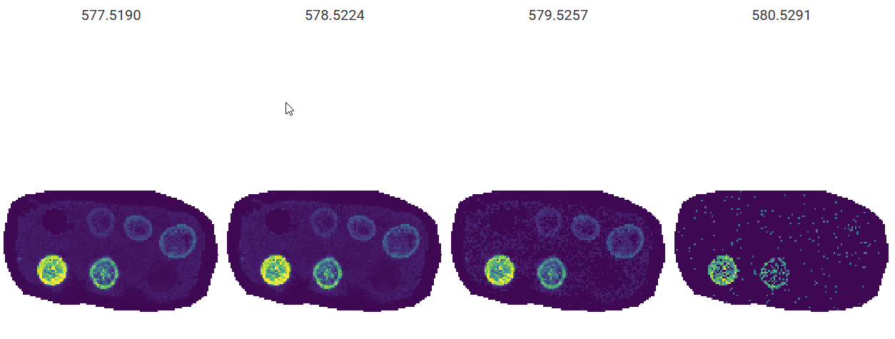 Isotope ion image strip
