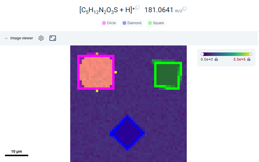 Ion image with ROI boundaries
