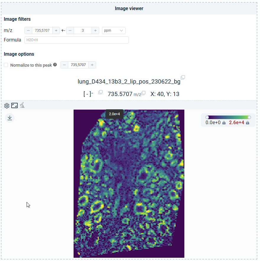 Image viewer panel