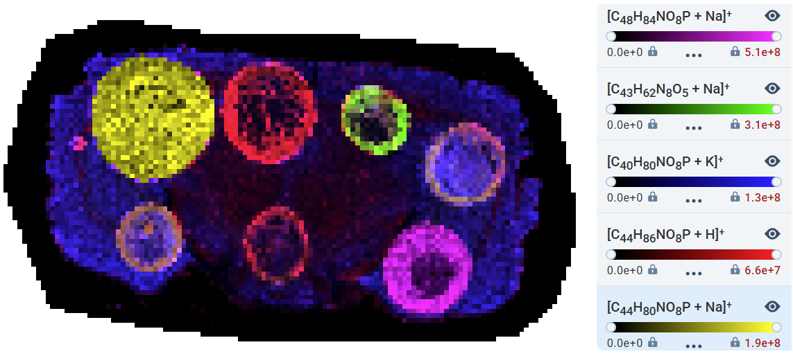 Multi-channel composite image