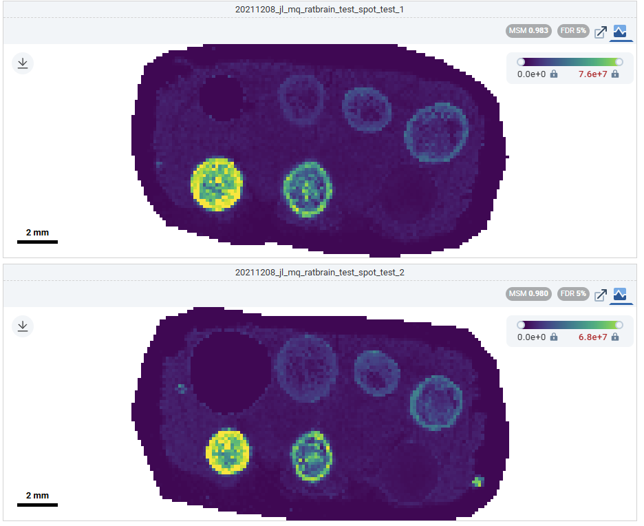 Multi-dataset grid view