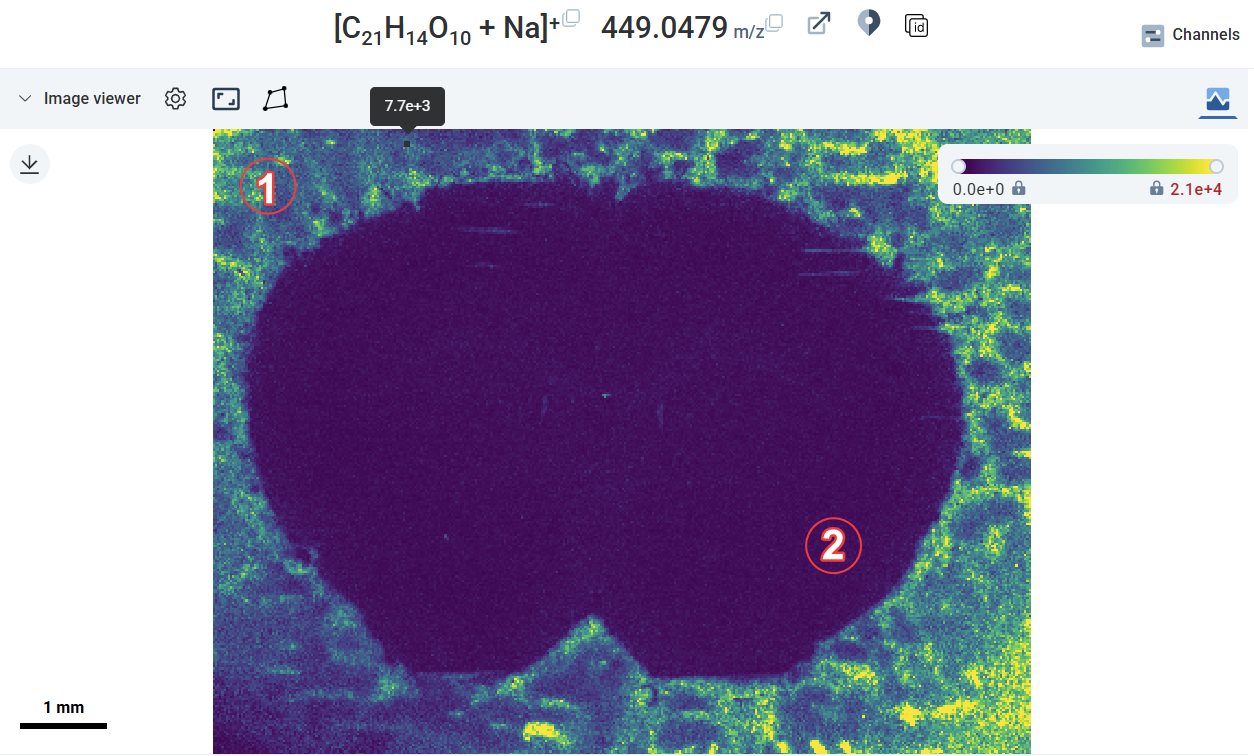 Typical off-sample ion image