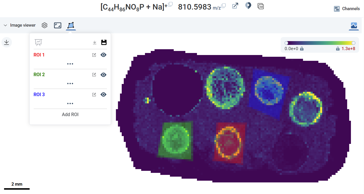 ROI boundaries on ion image